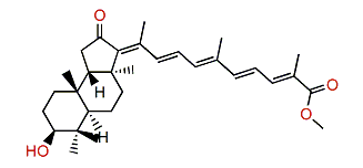 Rhabdastrellin F